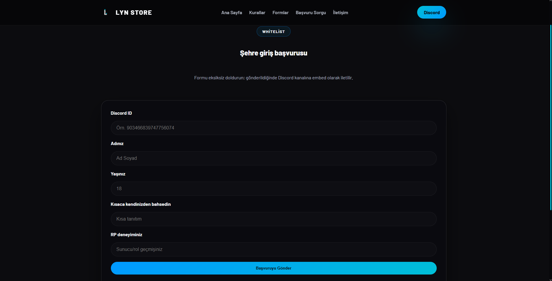 FiveM Proffessional Web #1 - Görsel 4