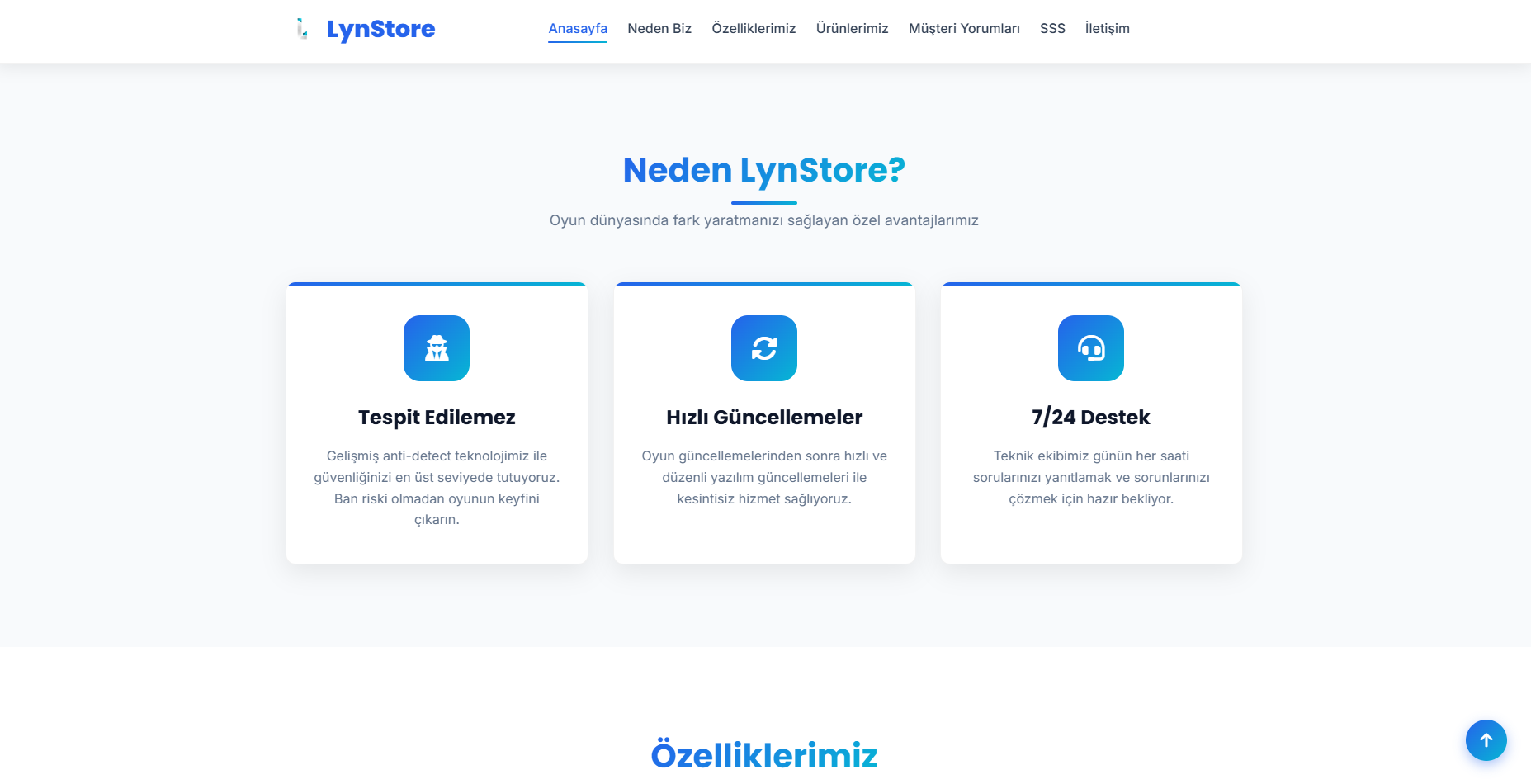 Proffessional Lua Web - Görsel 2