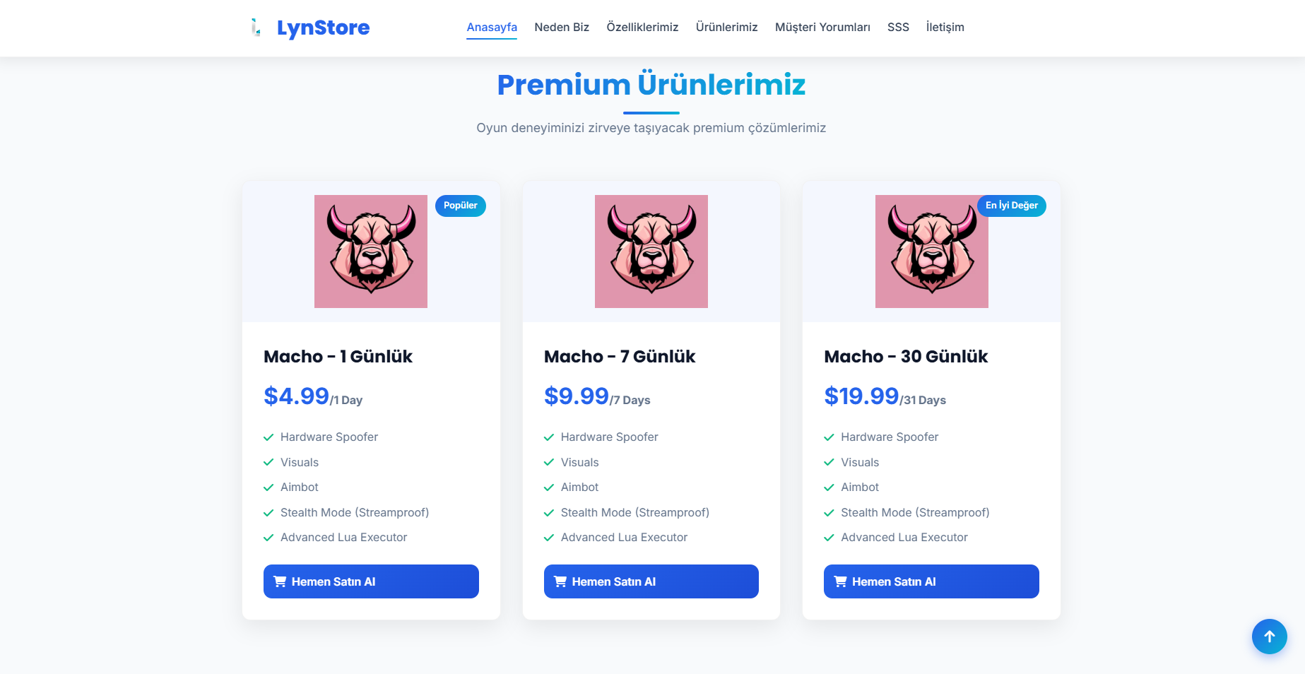 Proffessional Lua Web - Görsel 4