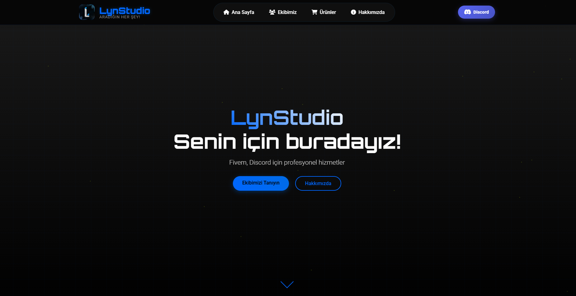 Proffessional Store Web