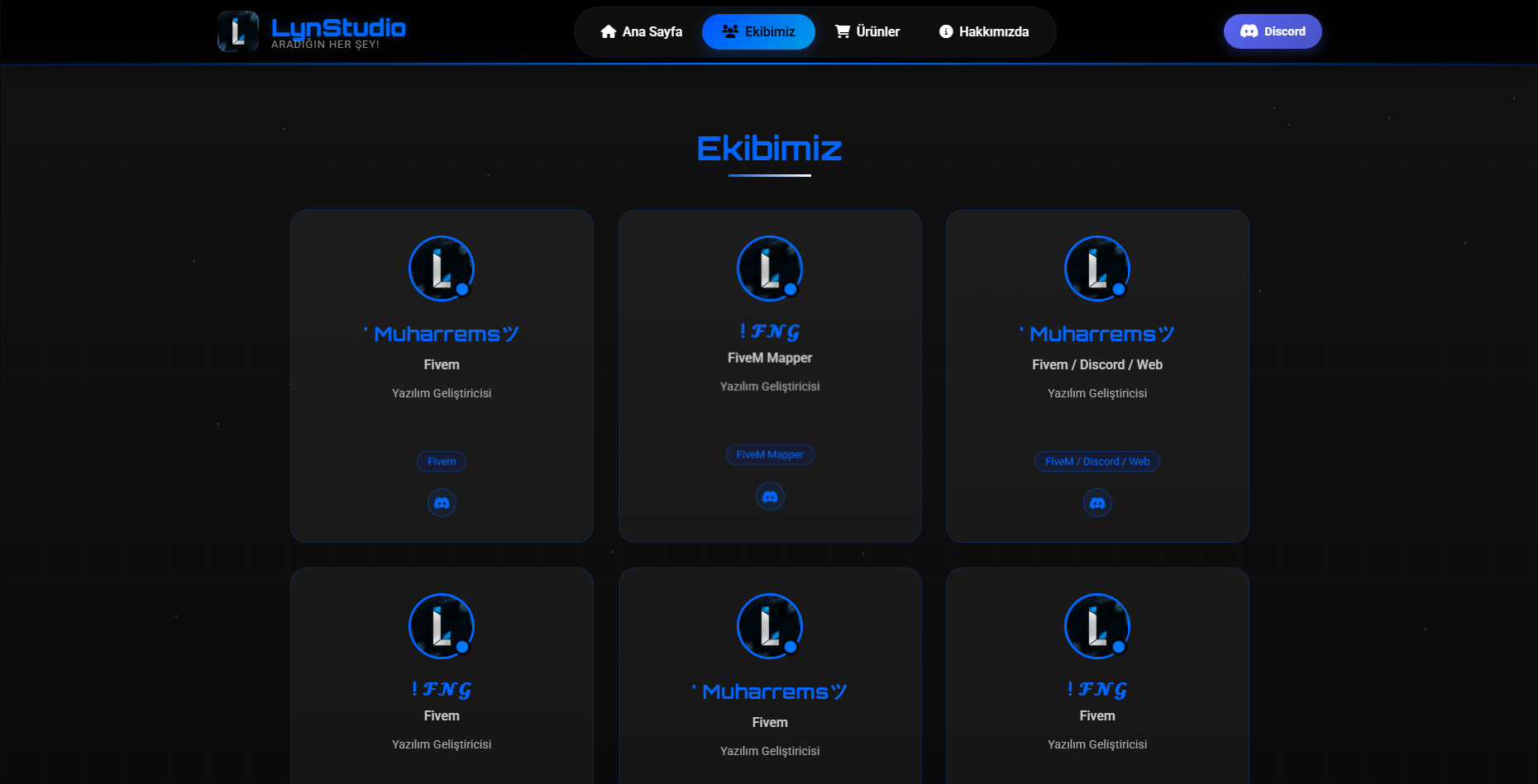 Proffessional Store Web - Görsel 2