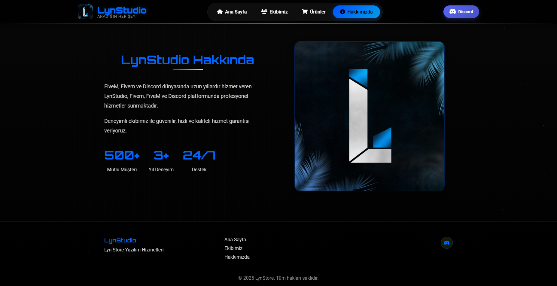 Proffessional Store Web - Görsel 3